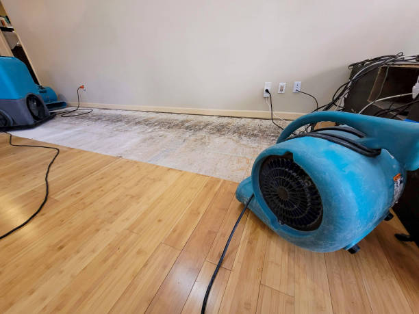 Professional Burst Pipe Water Damage technician working in Medway, OH